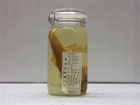 藏品(六絲馬鮁魚)的圖片